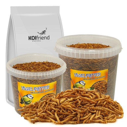 Vogelfutter mehlwürmer - vogelfutter,