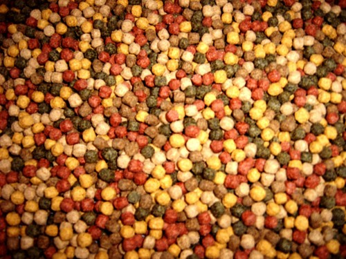 Koifutter sorten mix kg 3 - koifutter,