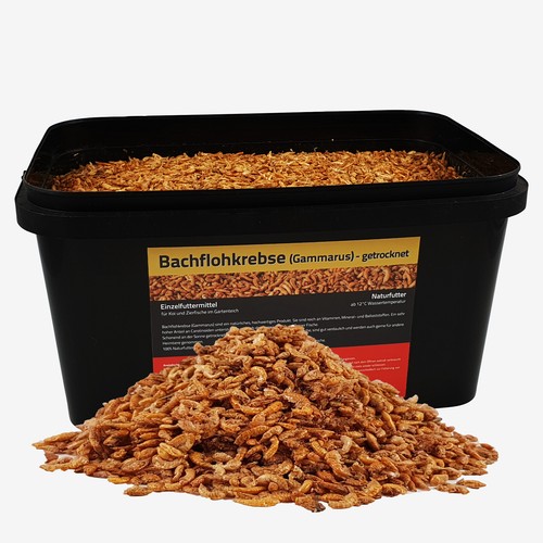 Liter bachflohkrebse im - bachflohkrebse,
