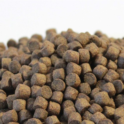 Koifutter top energy jumbo 5 - energy,
