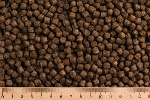 15 kg - (gp,