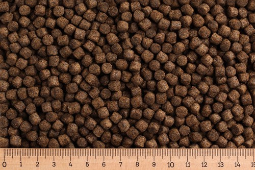 20 kg - (gp,