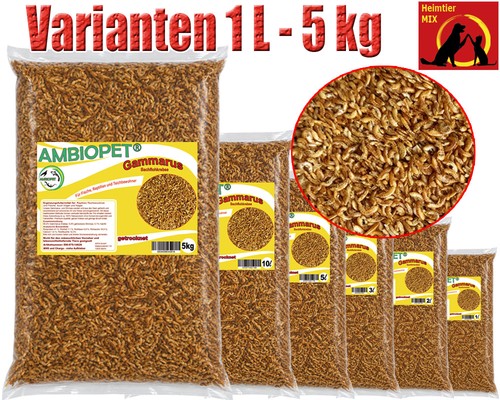 Auswahl getrocknete - auswahl,